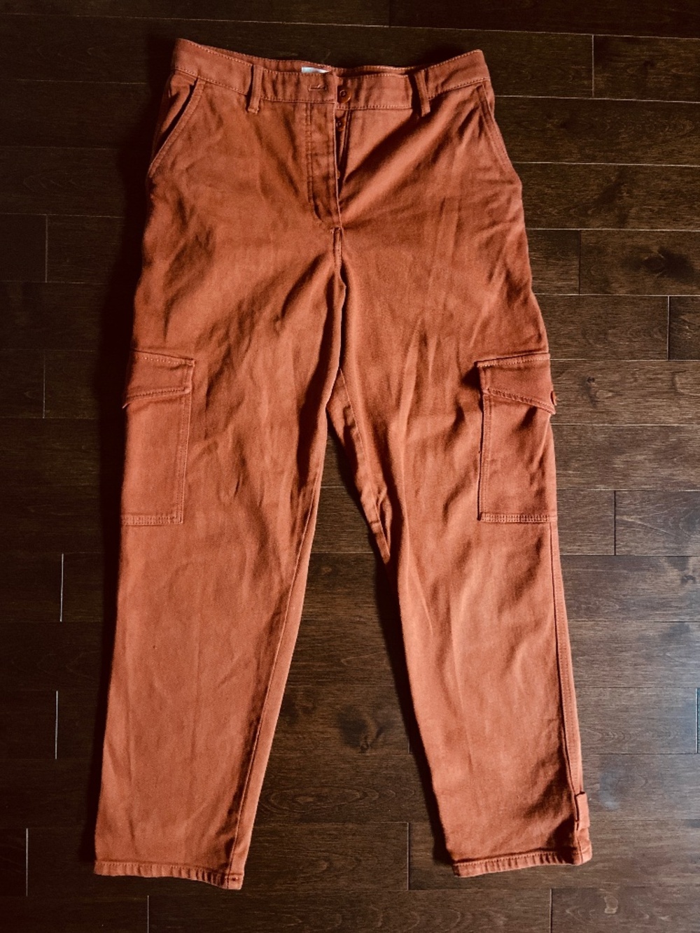 Aritzia Wilfred Free Modern Cargo Pants, Copper, Size 10